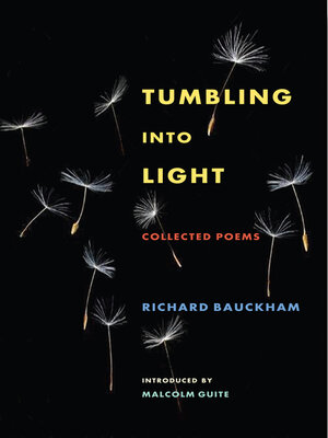cover image of Tumbling Into Light